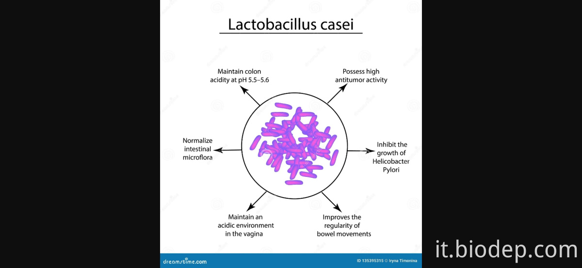 lactobacillus casei3